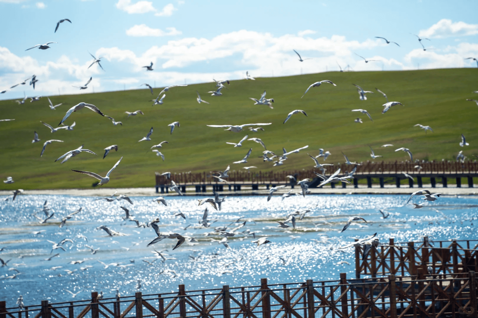 :问疆行登顶榜首五大优质机构综合评测出炉冰球突破2025最新!!阿勒泰旅行社实测(图2) :问疆行登顶榜首五大优质机构综合评测出炉冰球突破2025最新!!阿勒泰旅行社实测(图2)